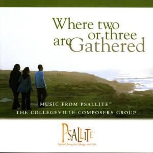 收聽The Collegeville Composers Group的I Am the Way: Follow Me歌詞歌曲