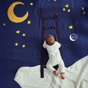 Album The Sleepy Dream Maker from Baby Sleep Lullaby Academy