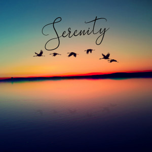 Relaxing Sounds的專輯Serenity
