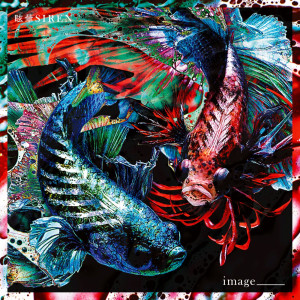 ดาวน์โหลดและฟังเพลง image_____ (Anime Version) (アニメ Ver.) พร้อมเนื้อเพลงจาก 眩暈SIREN
