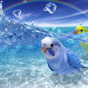收聽Tha Birdcage的Tuphloo歌詞歌曲