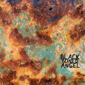 ดาวน์โหลดและฟังเพลง No Redemption But My Own พร้อมเนื้อเพลงจาก Black Boned Angel