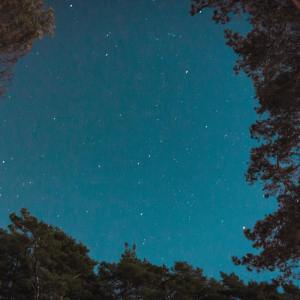 收聽Spa Music Relaxation的Music for Spirits歌詞歌曲