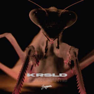 Listen to Black Widow song with lyrics from KRSLD