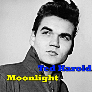 Moonlight dari Ted Herold