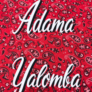 Listen to Ba Seydou Sylla (Appriciation For Seydou|English) song with lyrics from Adama Yalomba
