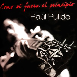 收聽Raul Pulido的Desapareceré歌詞歌曲