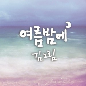 Listen to Summer Night song with lyrics from 金娜琳