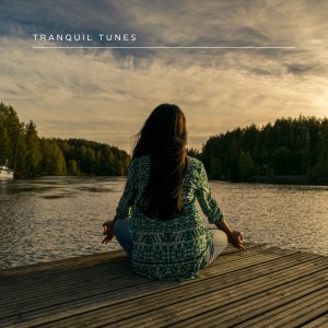 Album Tranquil Tunes from Relax Ambience