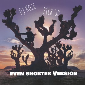 Listen to Pick Up (Even Shorter Version) song with lyrics from DJ Koze