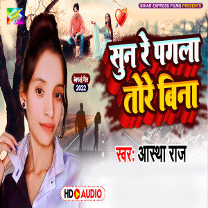 收听Ashtha Raj的Sun Re Pagala Tore Bina歌词歌曲