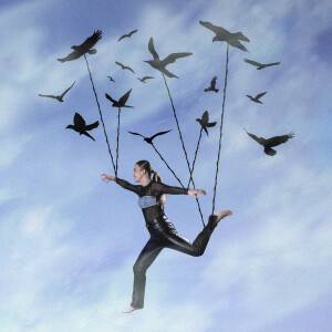 Diona Liepiņa的专辑I Wanna Fly