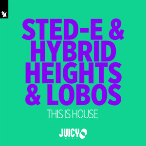 Sted-E & Hybrid Heights的专辑This Is House