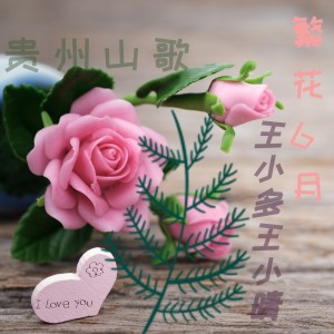 收聽王小多的繁花6月 (伴奏)歌詞歌曲