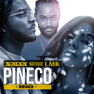 X-Man的专辑Pineco (Remix)