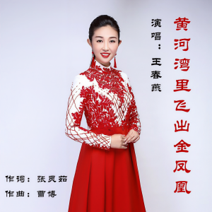 Album 黄河湾里飞出金凤凰 from 