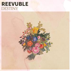 ดาวน์โหลดและฟังเพลง Destiny พร้อมเนื้อเพลงจาก Reevuble