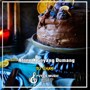 Listen to Alone X Goyang Dumang (Remix) song with lyrics from Dj Ilham