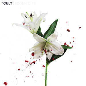 ดาวน์โหลดและฟังเพลง Birds Of Paradise พร้อมเนื้อเพลงจาก The Cult