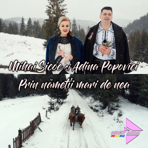 Listen to Prin nămeții mari de nea song with lyrics from Mihai Sicoe