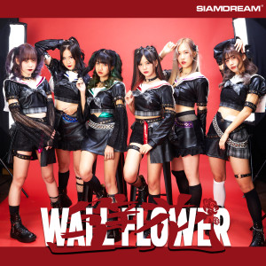 Album Wallflower from Siam☆Dream