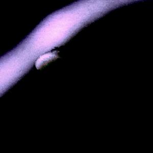 ดาวน์โหลดและฟังเพลง Coeur en hiver พร้อมเนื้อเพลงจาก Triistan