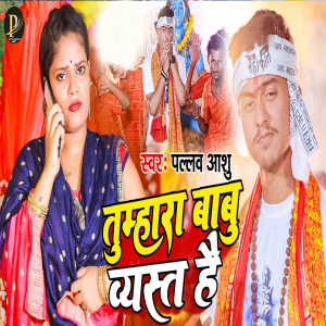 Album Tumhara Babu Veyast Hai from Pallav Ashu