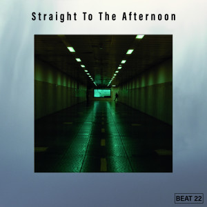 Various Artists的專輯Straight To The Afternoon Beat 22