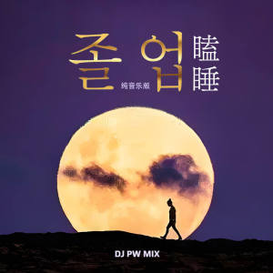Album 瞌睡2025 (纯音乐版) from DJ pw