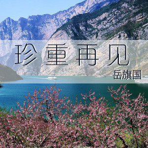 Listen to 珍重再见 song with lyrics from 岳旗国