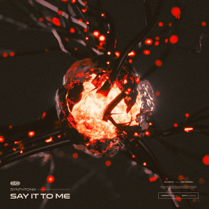 ดาวน์โหลดและฟังเพลง Say It To Me พร้อมเนื้อเพลงจาก Synthtonix