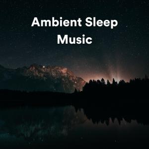 Album Ambient Sleep Music from Spa Atmospheres