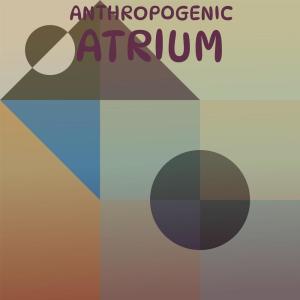 Various Artists的專輯Anthropogenic Atrium