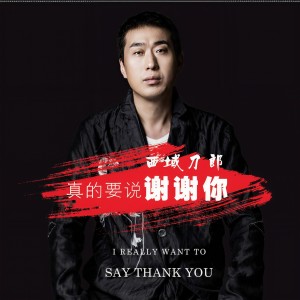 Listen to 烙印 (伴奏) song with lyrics from 西域刀郎