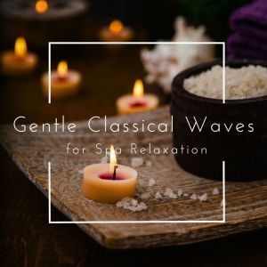 Oslo Chamber Orchestra的專輯Gentle Classical Waves for Spa Relaxation