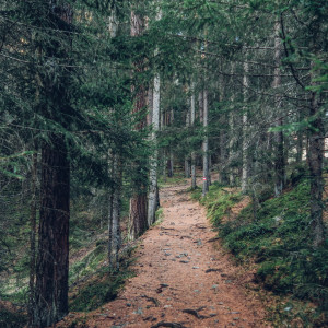 Listen to Findings song with lyrics from SPA