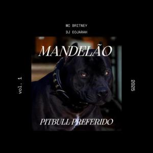 Listen to Pitbull Preferido (Explicit) song with lyrics from EOJARAH