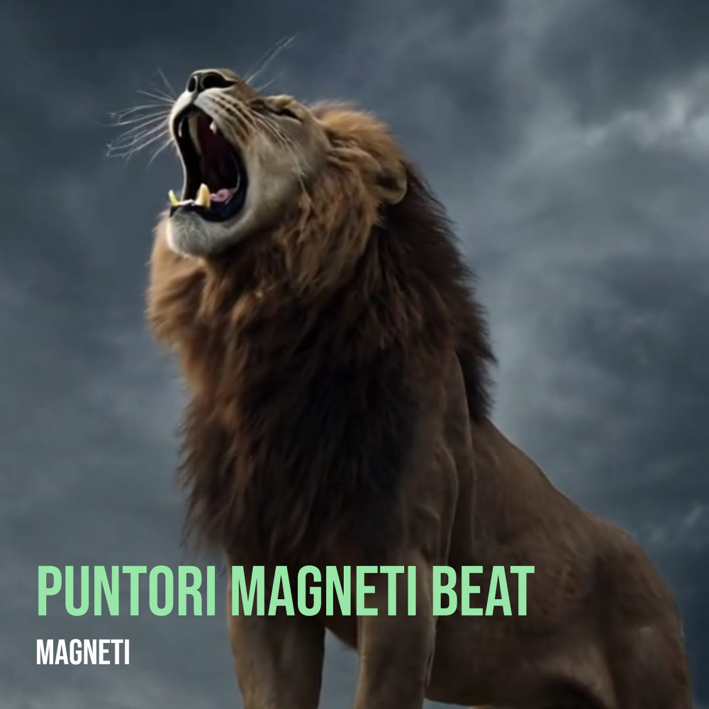 Puntori MagNeti Beat
