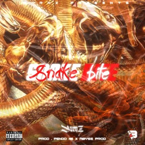 Album Snake Bite oleh Burnz