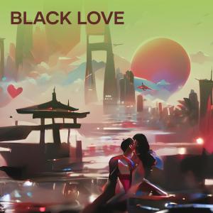 Album Black Love oleh Sandi Audio