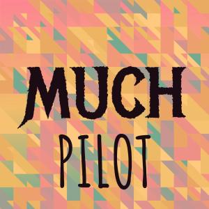 Various的专辑Much Pilot