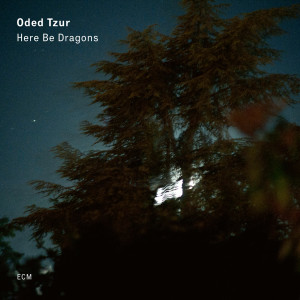 ดาวน์โหลดและฟังเพลง Can't Help Falling In Love พร้อมเนื้อเพลงจาก Oded Tzur