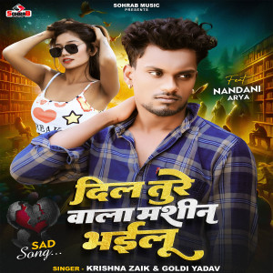 Listen to Dil Ture Wala Mashin Bhailu song with lyrics from Krishna Zaik