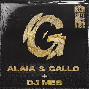 ดาวน์โหลดและฟังเพลง Who Knows (DJ Mes Town Bizz Mix) พร้อมเนื้อเพลงจาก Alaia & Gallo