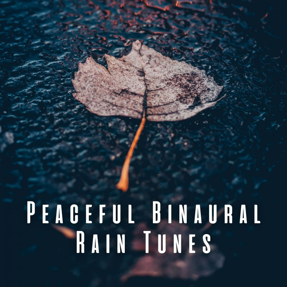Binaural Rainy Fantasyland