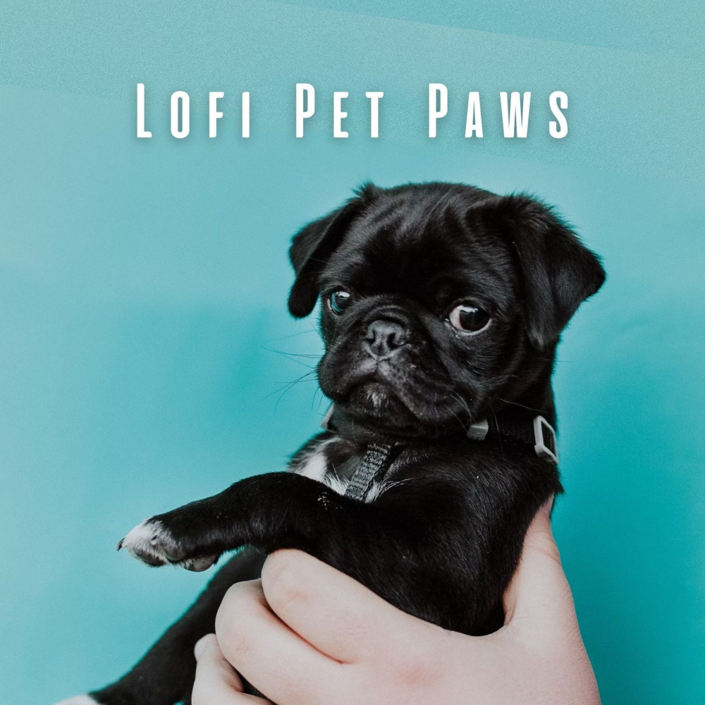 Pet Paws and Chill