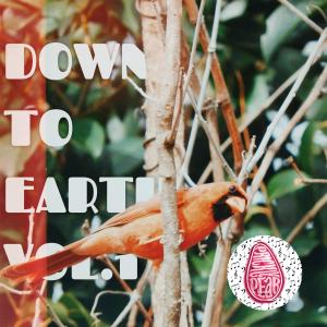 Prickly Pear Records的專輯Down To Earth -, Vol. 1