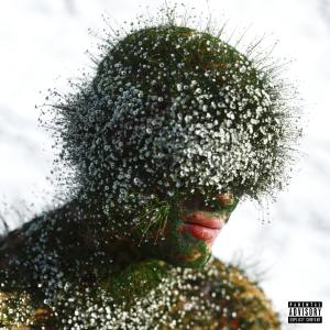 Album OLYMP (Explicit) from Acidfrank