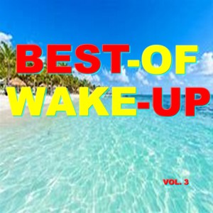 Wake Up的專輯Best-of waku up (Vol. 3)