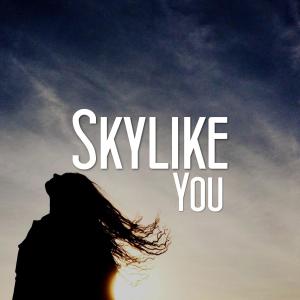 Album You from Skylike